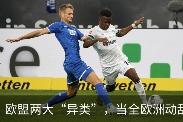 欧盟两大“异类”，当全欧洲动乱时，靠中国走上“捷径”躲过一劫